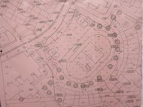 中花校园最新版爆料视频,揭秘校园风云与青春故事 第2张 中花校园最新版爆料视频,揭秘校园风云与青春故事 第2张